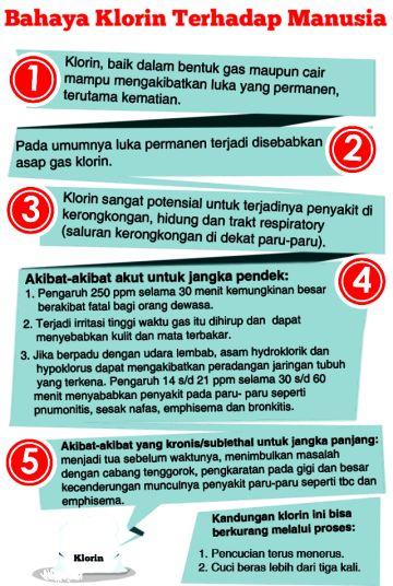 Beras Berklorin dan Teri Berformalin