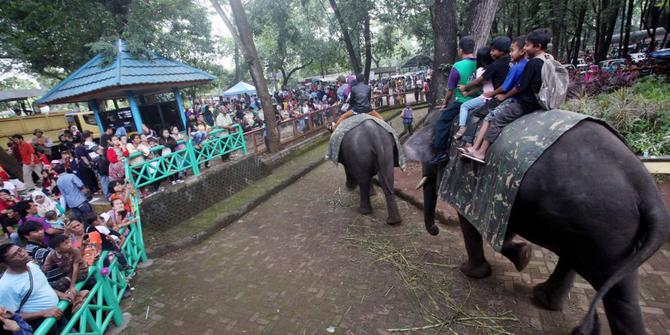 Kebun Binatang Bandung mulai dipadati warga