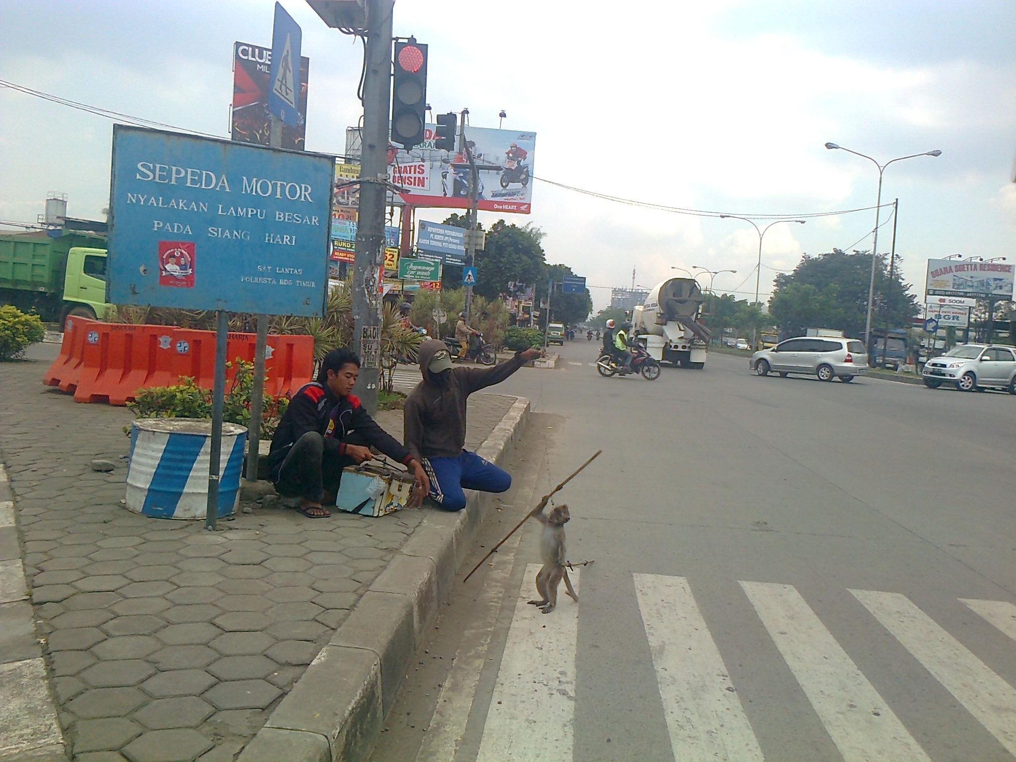Dinas Sosial Kota Bandung Amankan Doger Monyet