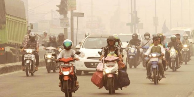 Kasus Pembakaran Hutan Meningkat
