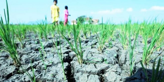 Terapkan Darurat Kekeringan