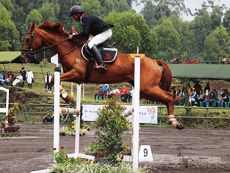 Pordasi Tak Punya Kuda Berkualitas