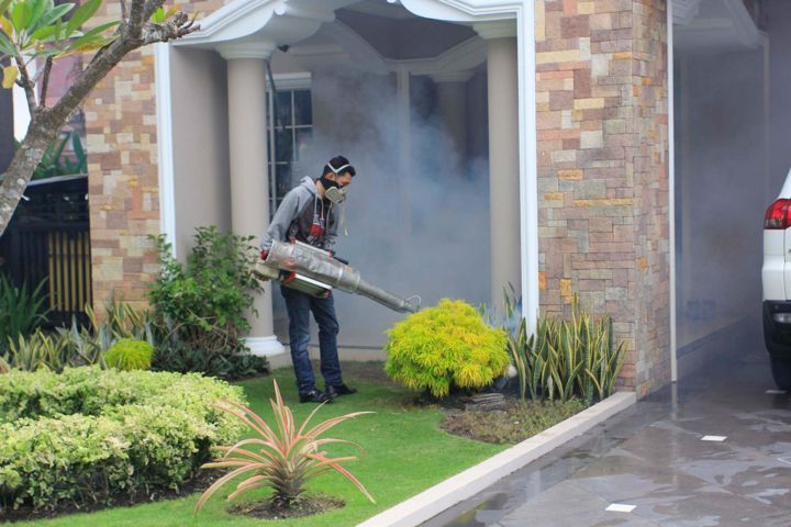 Kasus DBD Masih Tinggi