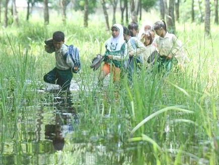 Siswa ke Sekolah Lewat Rawa