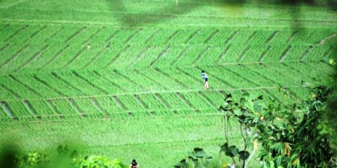 Potensi Besar Wilayah Selatan