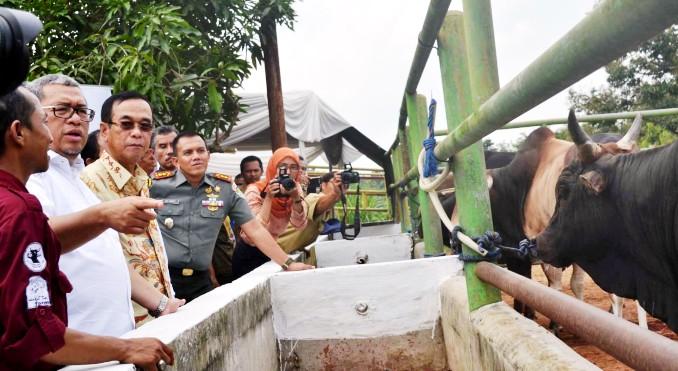 Ramadan, Beras dan Migor Harus Lebih Murah
