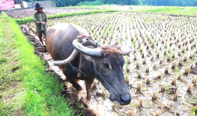Guru SMK di Kabupaten Bandung Over Kuota