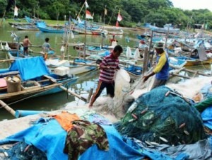 Kini, Giliran Harga Ikan Laut Melambung