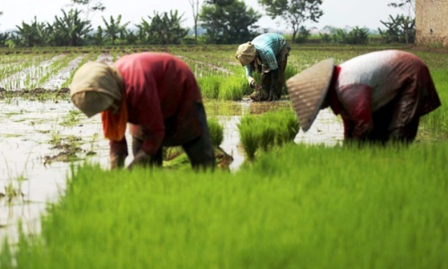 Janji Pertahankan Lahan Abadi, Terapkan Sistem Zonasi Merah dan Hijau