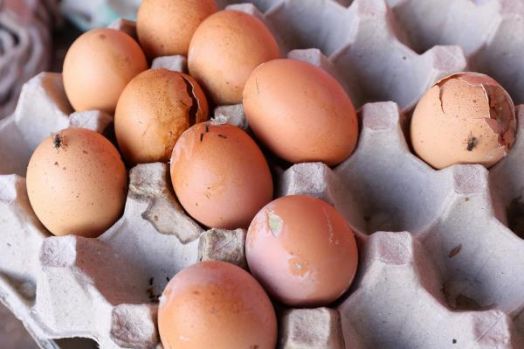 Ribuan Telur Terancam Busuk Bulog dan Dinsos Kab. Garut Lempar Tanggungjawab