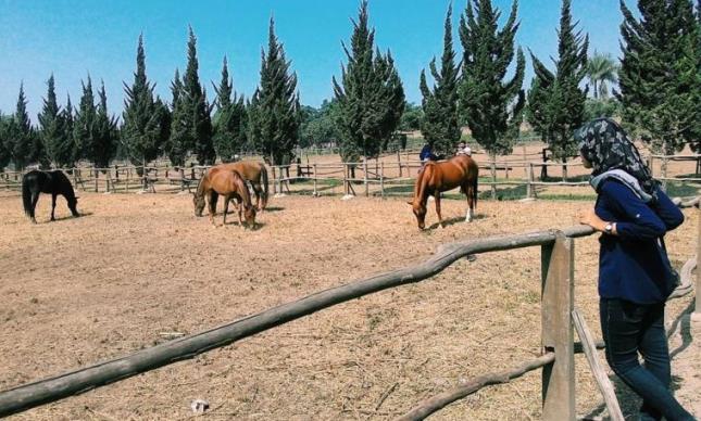 Pengunjung Dibatasi, Harga Tiket Wisata di KBB Melonjak