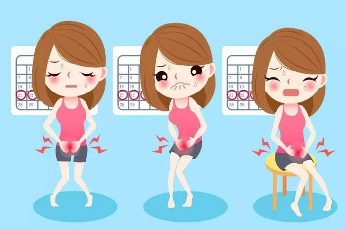 Inilah Siklus Menstruasi Pada Wanita yang Normal