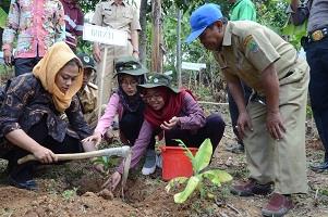 Cellica Tanam Pohon dan Ribuan Benih Ikan
