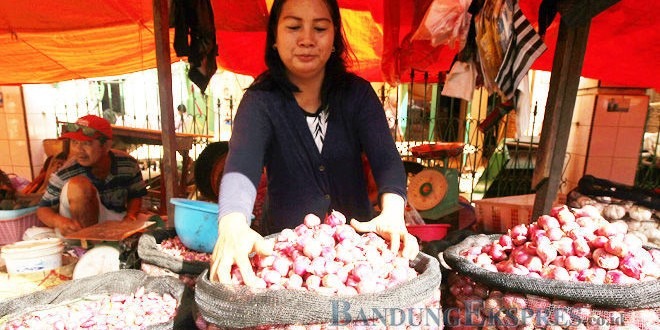 Bawang Merah Paling Tinggi