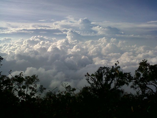 Lautan awan di Puncak Gunung Cikuray