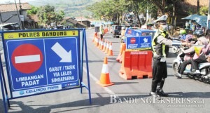 Info Mudik Bisa Diakses di Umeetme.id