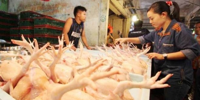 Harga Kepokmas Kembali Turun