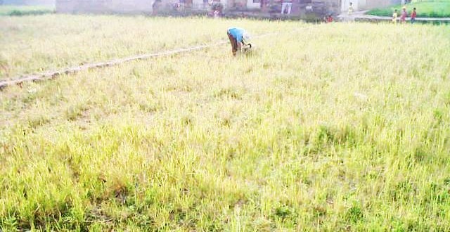 Belum Tetapkan Siaga Kekeringan