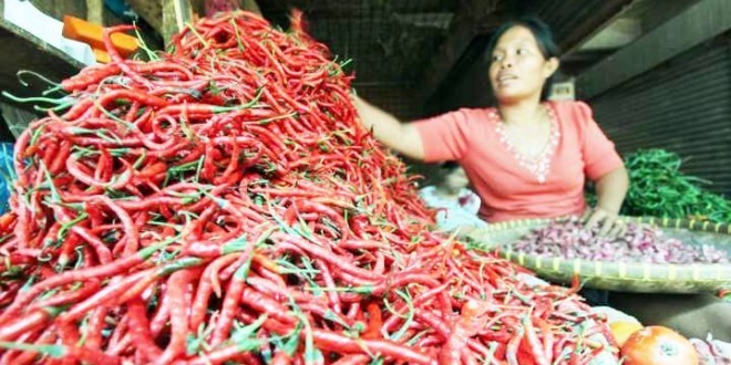 Harga Cabai Semakin Pedas