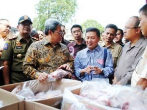 Harga Daging Tetap Tinggi