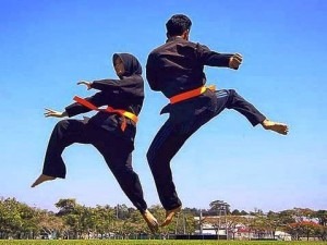 Pencak Silat Diganti Penca