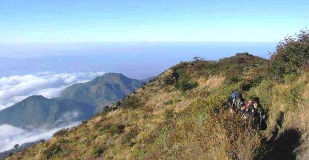 Tujuh Pendaki Tewas Terpanggang