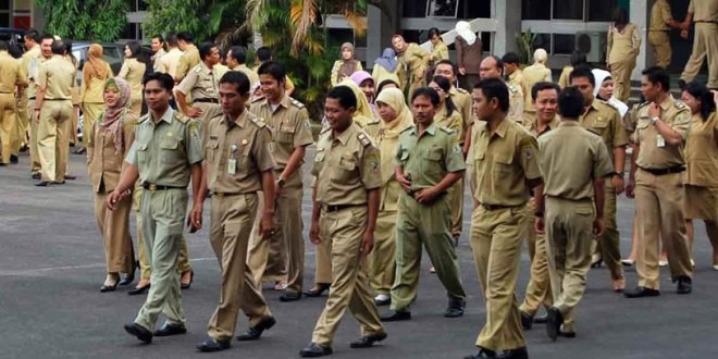 Jangan Tertipu! Dipastikan Tak Ada Penerimaan CPNS