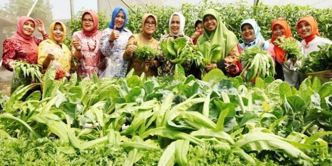 Pertanian Keluarga Dorong Ketahanan Pangan