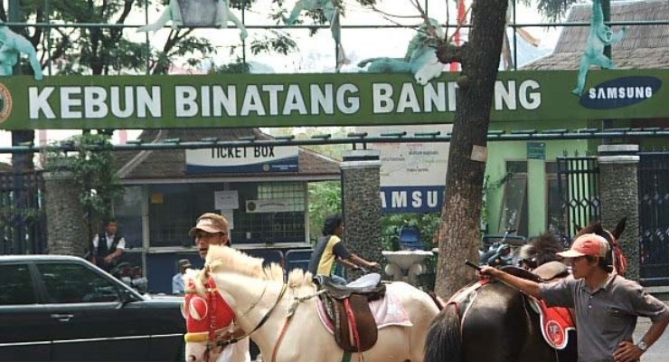 Kebun Binatang Bandung Antisipasi Lonjakan Pengunjung Pada Awal Tahun