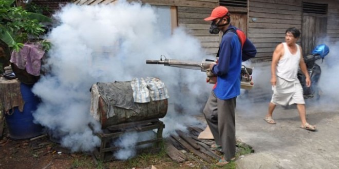 DBD Rambah Daerah Dataran Tinggi