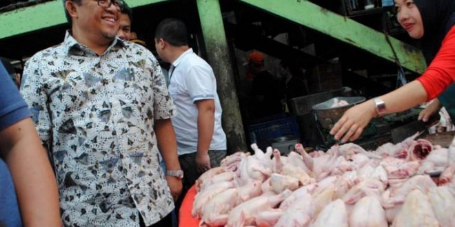 Harga Daging Kembali Normal