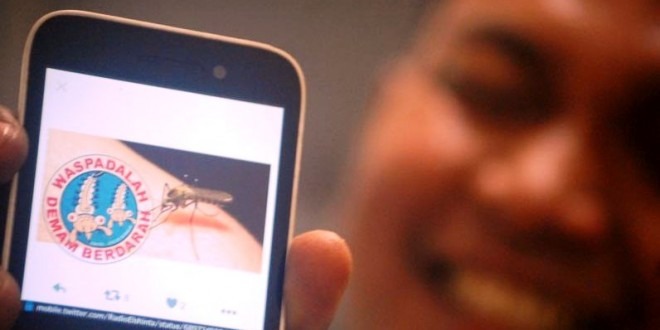 Enam Kecamatan Endemis DBD