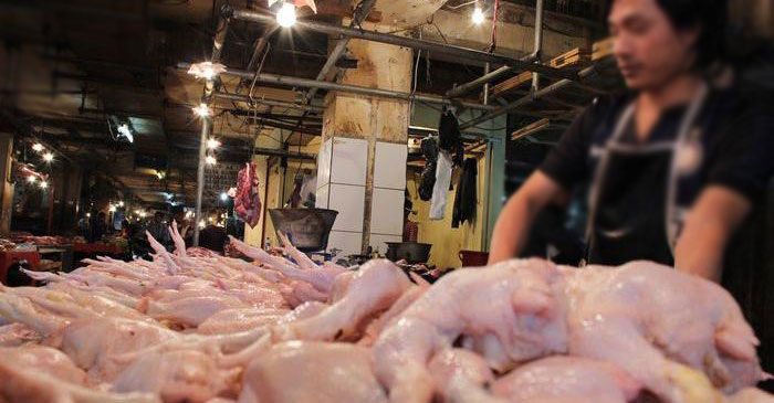 Harga Ayam Belum Stabil, Para pedagang Akan Mogok