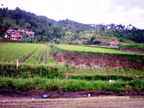 Pengelolaan Pariwisata di Bandung Barat Belum Maksimal