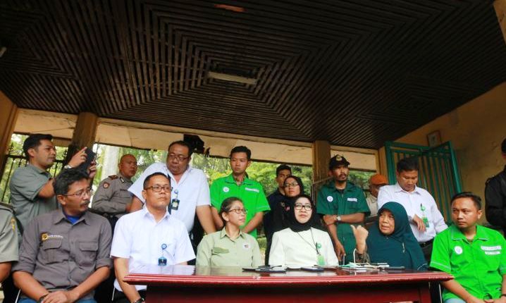 Sebulan Terakhir Digerogoti Bakteri, ”Yani” Mati Tak Terurus