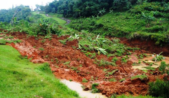 Pemprov Harus Tegas, Perda Perubahan Belum Bertaring
