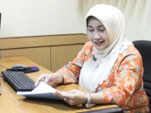 Demokrat Sebut Isu Hangat di Tahun 2016