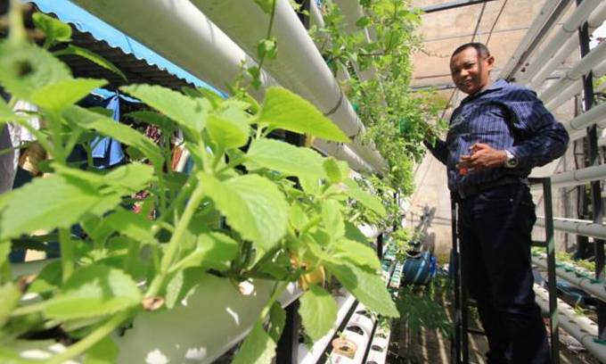 Kelurahan Kujangsari Galakkan Urban Farming