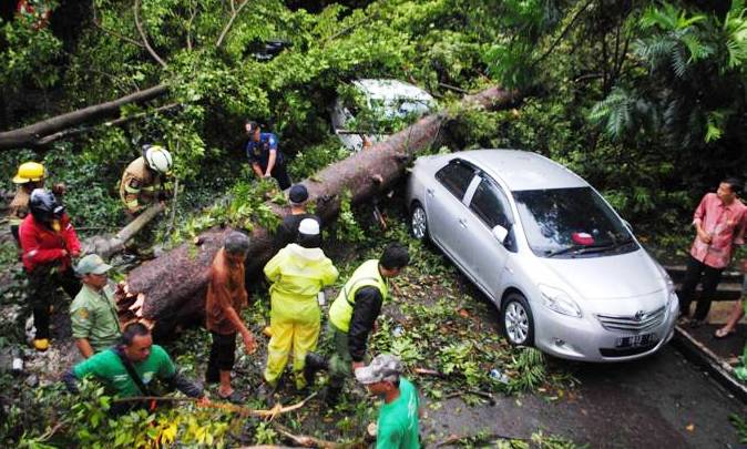 PLN Disjabar Investasikan Rp 3,1 Triliun