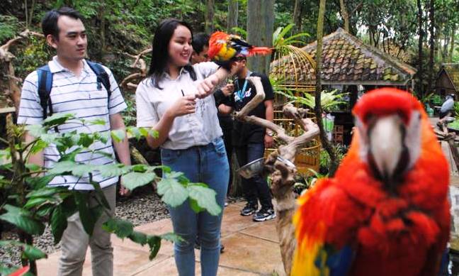 Sertifikasi Pemandu Wisata Terbatas