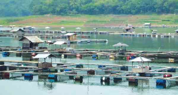 KJA di Waduk Cirata Ditertibkan Satgas