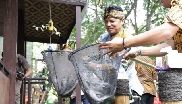 Maggot Banyak Memiliki Manfaat