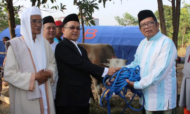 Pj Bupati Berkurban Satu Ekor Sapi
