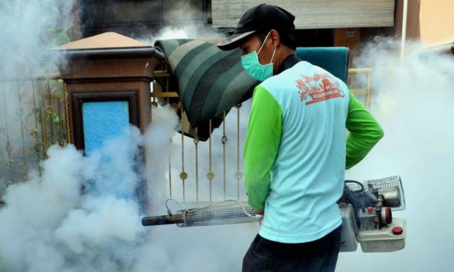 Jumlah Pasien DBD Alami Lonjakan