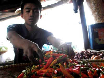 Kualitas dan Stok Pengaruhi Harga Cabai Merah