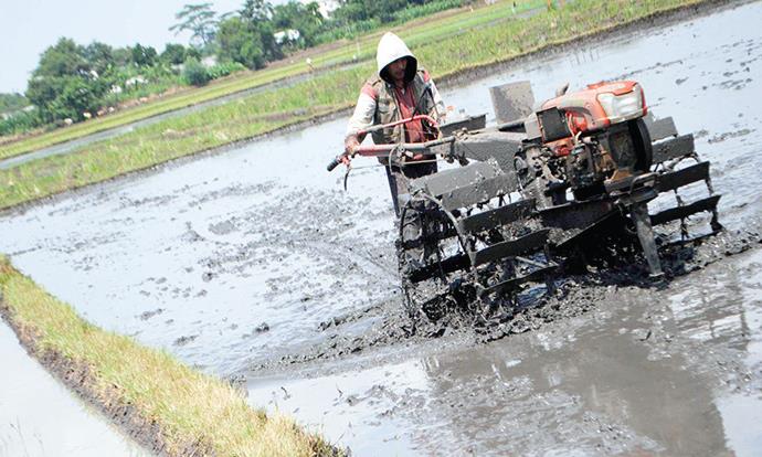 Asuransi Pertanian Direspons Positif