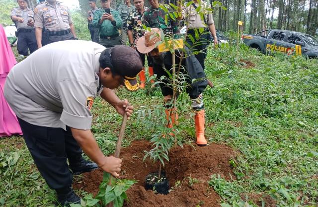 Jaga Kondisi Alam, Tiga Ribu Pohon Ditanam di Lembang
