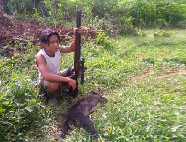 Anjing Hutan Serang Warga di Gununghalu