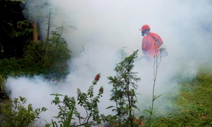Waspada! 576 Warga KBB Terjangkit DBD, 3 Orang Meninggal