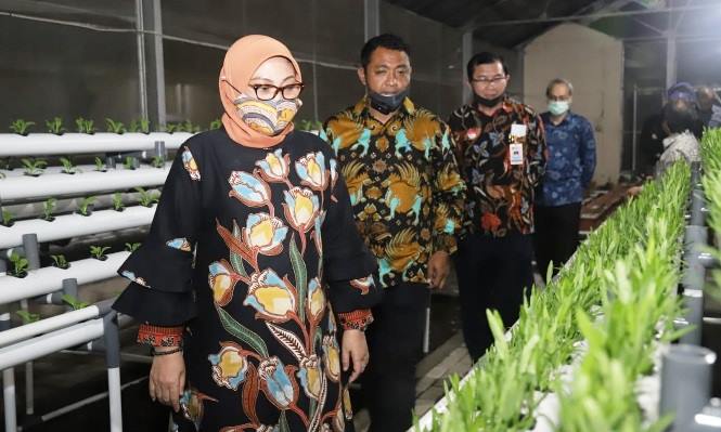 Pulihkan Semangat Kerja, Kemenaker Berikan Pelatihan Ratusan Pelaku UMKM